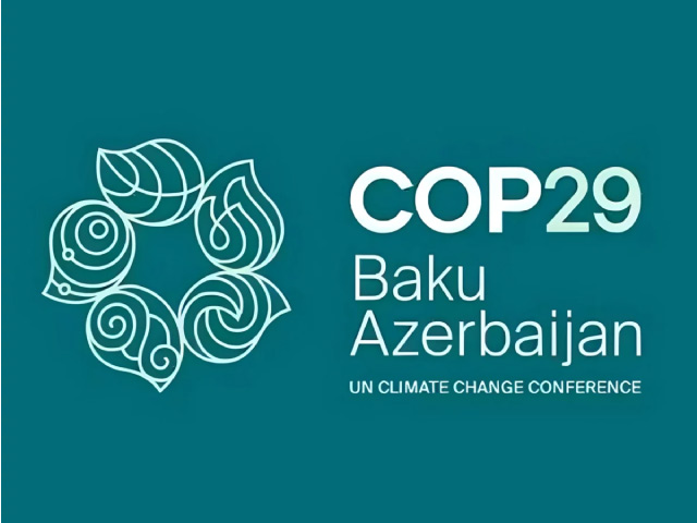 COP29 à Bakou : 5 principales polémiques